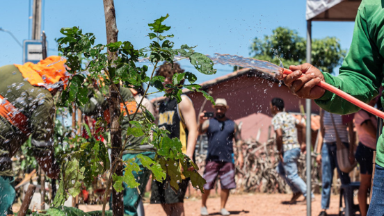 a hand watering a plant in a neighbourhood with a water hose